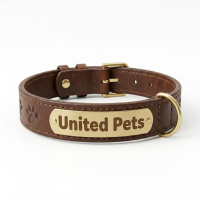 a luxury leather dog collar